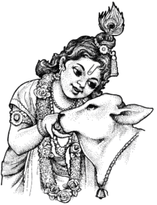 krishna